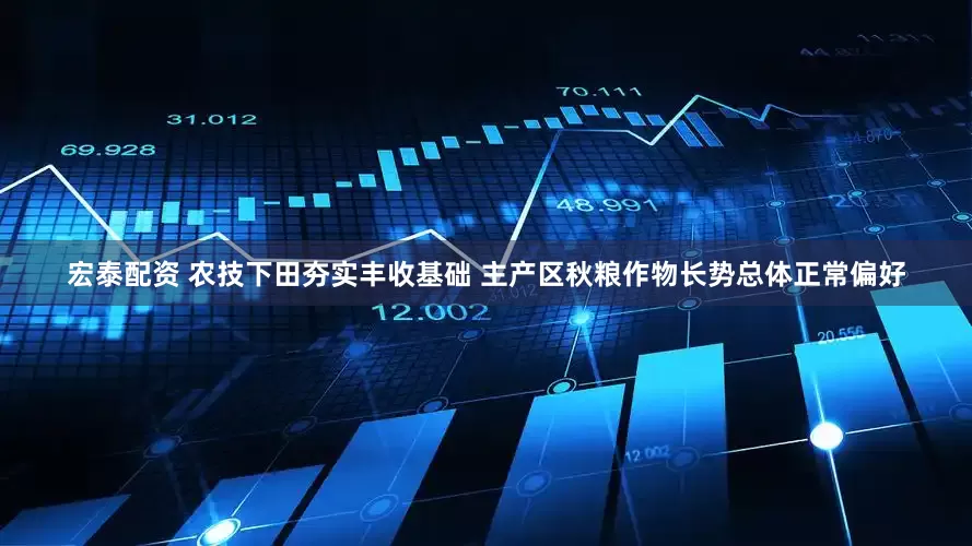 宏泰配资 农技下田夯实丰收基础 主产区秋粮作物长势总体正常偏好
