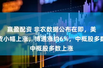 赢盈配资 非农数据公布在即，美股期货小幅上涨，博通涨约6%，中概股多数上涨