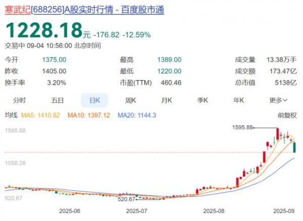 启点优配 寒武纪跌超12%，市值蒸发超700亿元