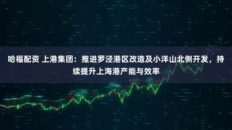 哈福配资 上港集团：推进罗泾港区改造及小洋山北侧开发，持续提升上海港产能与效率