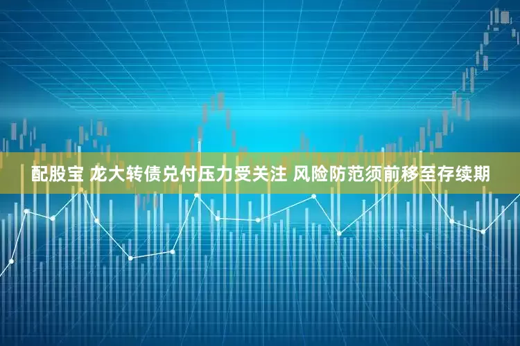配股宝 龙大转债兑付压力受关注 风险防范须前移至存续期